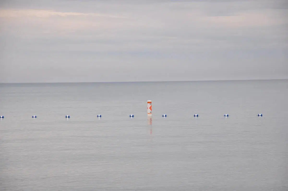 still, by Francesca Ritchey-PurePhoto