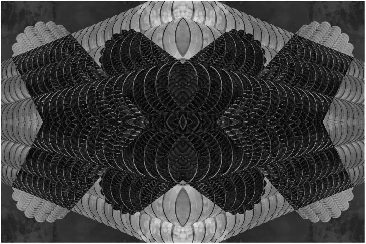 tame the heart, by Francesca Ritchey-PurePhoto