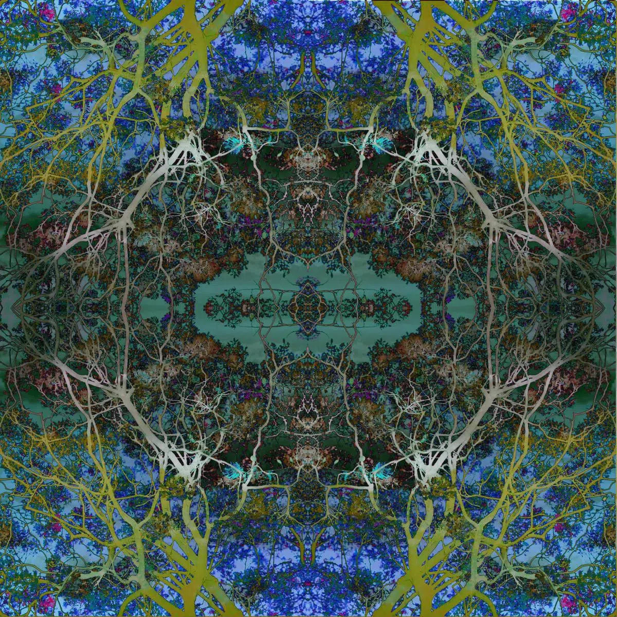 truecolors 12, by Francesca Ritchey-PurePhoto