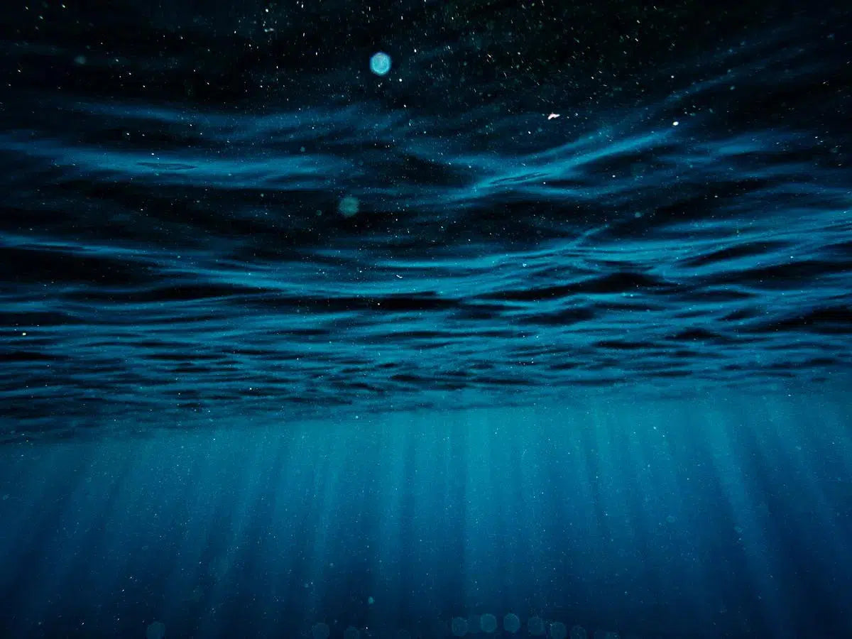 umoreblu, by Paolo Ciriello-PurePhoto