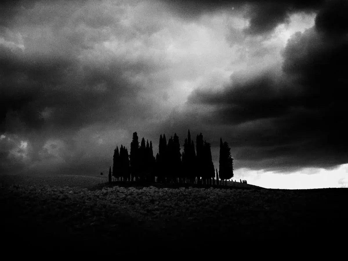 val d'orcia, by Andrea Buzzichelli-PurePhoto