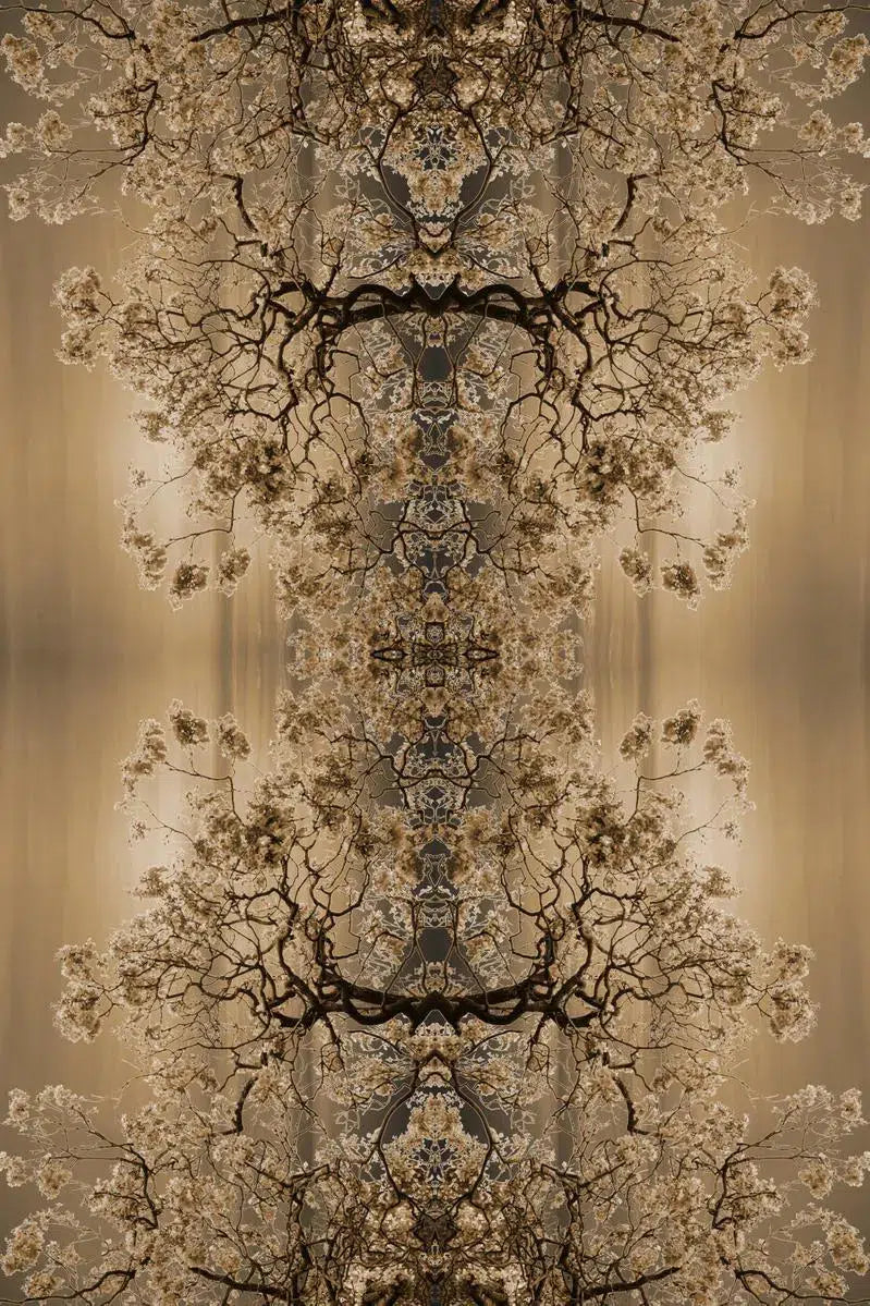 we are golden 02, by Francesca Ritchey-PurePhoto