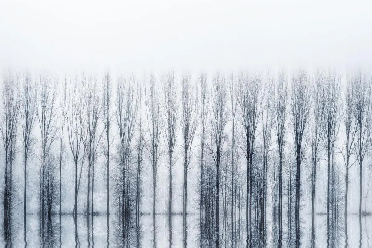 winter reflections, by Piet Flour Senior-PurePhoto